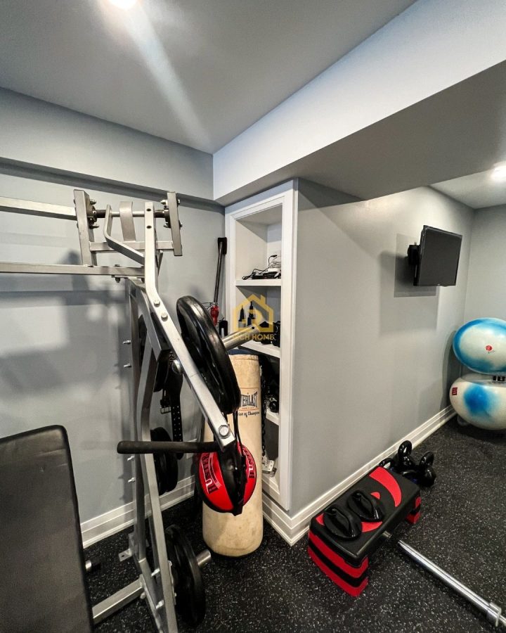 professional home gym builders gta west